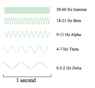 EEG周波数スペクトル