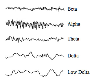 EEG周波数スペクトル2