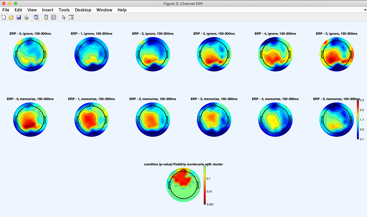 画像が見つかりません